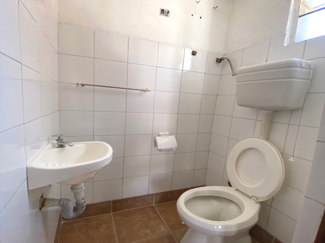 Imagen 7 de la galería