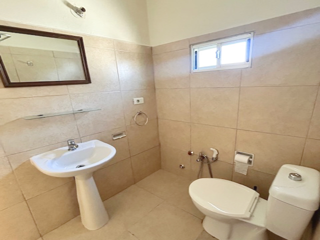 Imagen 7 de la galería