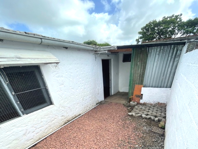 Imagen 10 de la galería