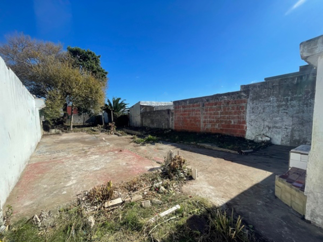 Imagen 2 de la galería