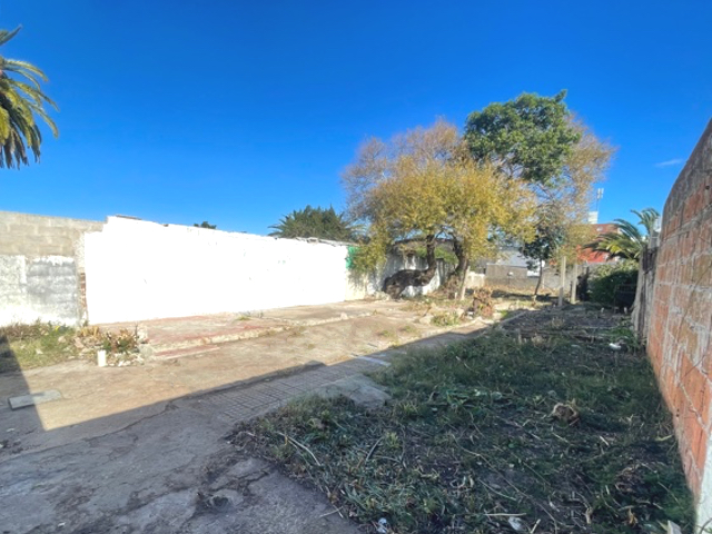 Imagen 6 de la galería