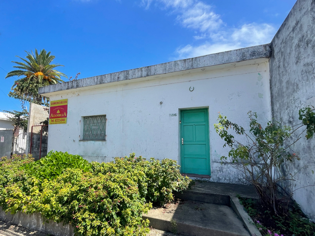 Imagen 1 de la galería