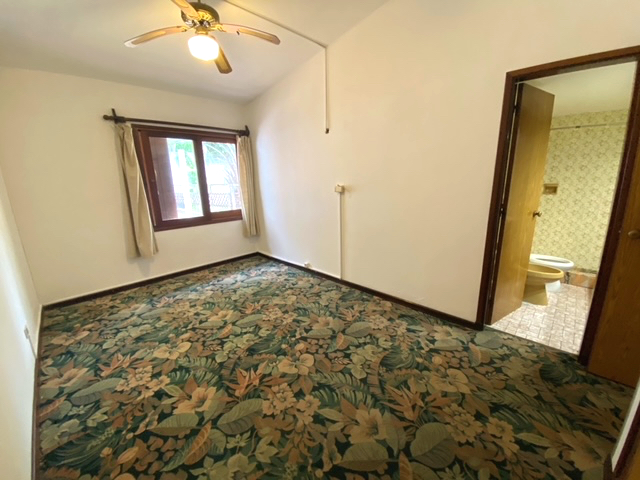 Imagen 7 de la galería