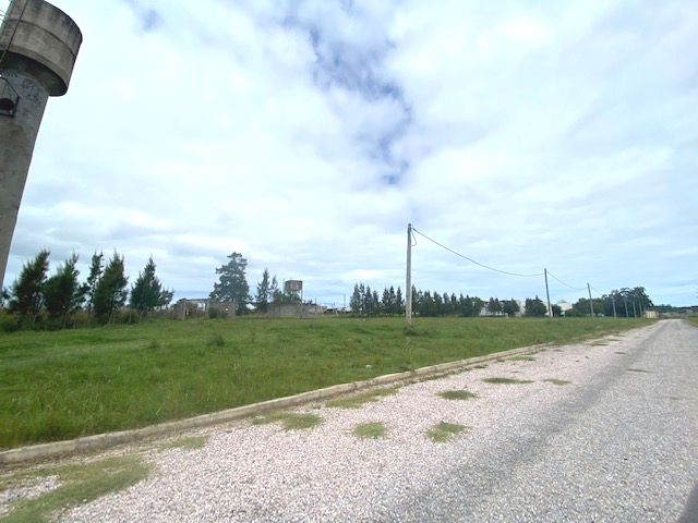 Imagen 1 de la galería