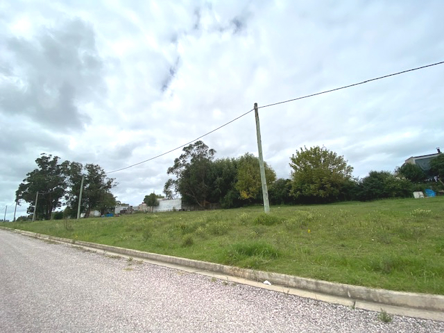 Imagen 2 de la galería