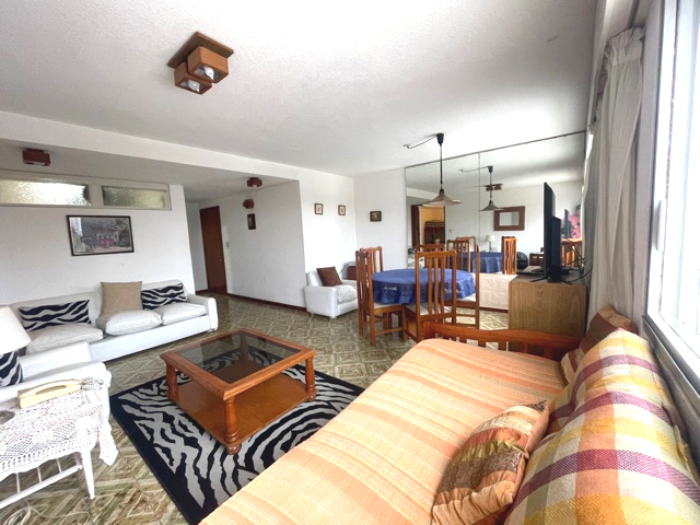 Imagen 7 de la galería