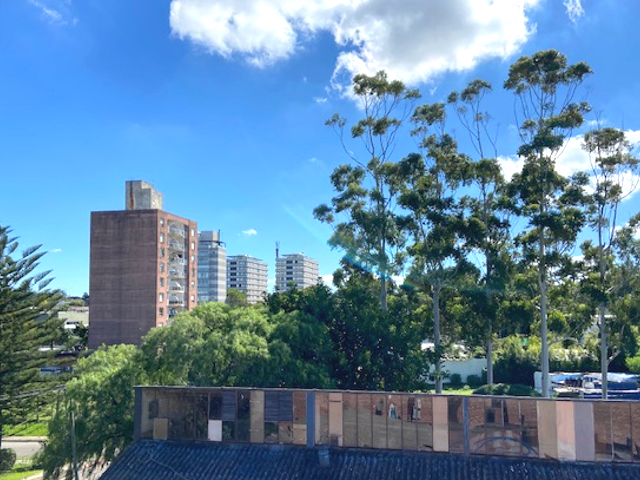 Imagen 8 de la galería