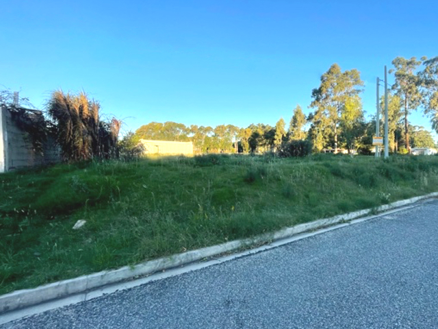 Imagen 1 de la galería