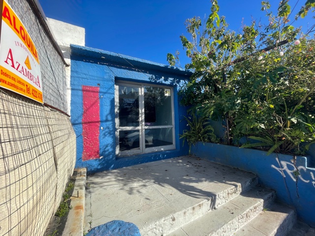 Imagen 1 de la galería