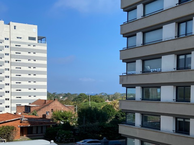 Imagen 8 de la galería