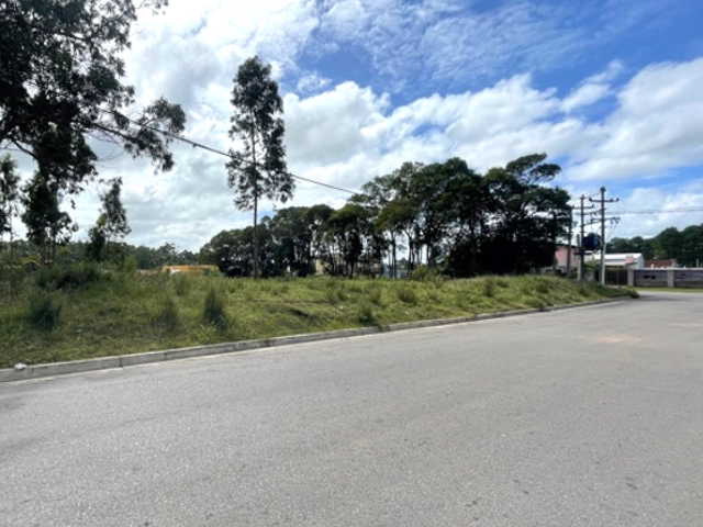 Imagen 2 de la galería