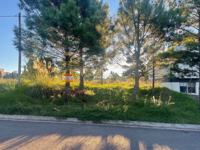 Imagen 1 de la galería