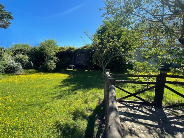 Imagen 17 de la galería