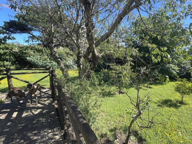 Imagen 18 de la galería