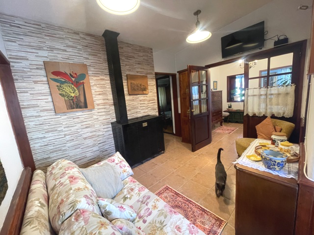 Imagen 7 de la galería