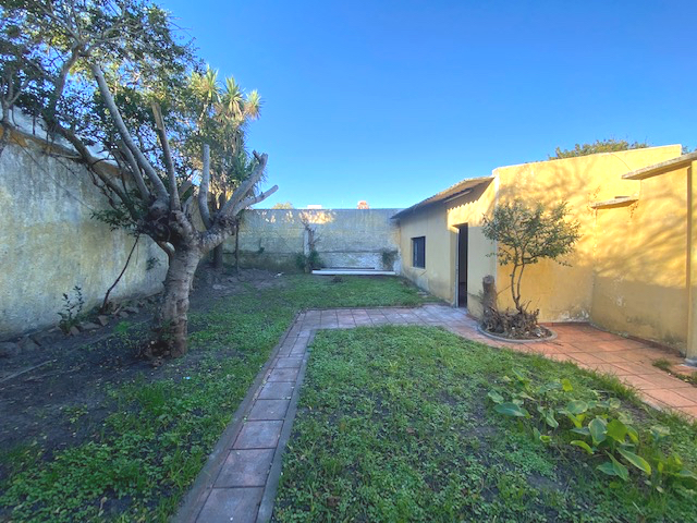 Imagen 14 de la galería