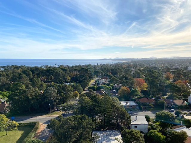 Imagen 10 de la galería