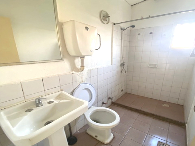 Imagen 4 de la galería