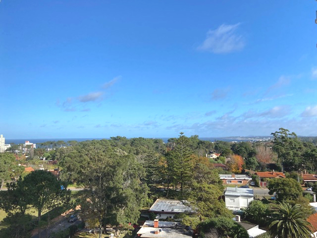 Imagen 18 de la galería