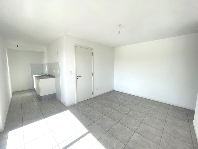 Imagen 4 de la galería