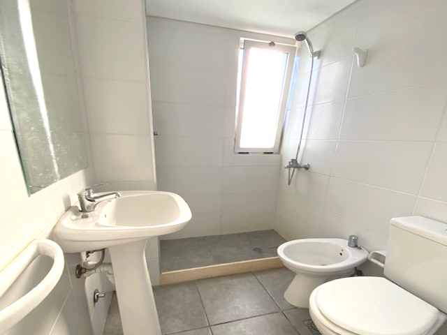 Imagen 7 de la galería