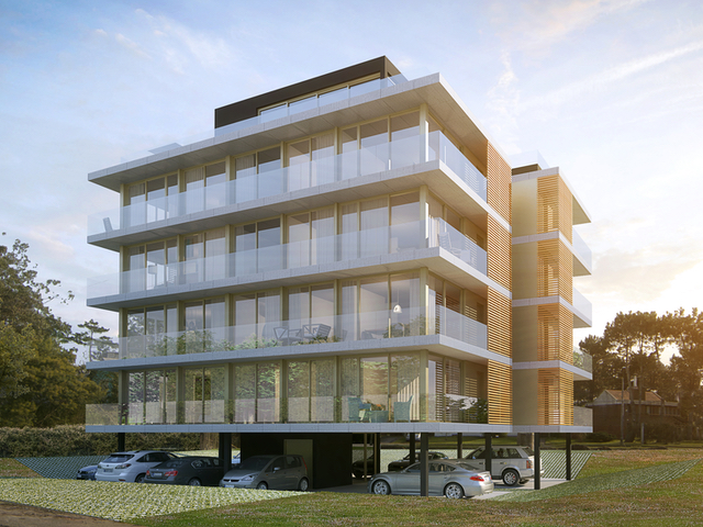 Imagen 1 de la galería