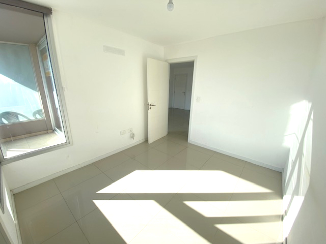 Imagen 7 de la galería