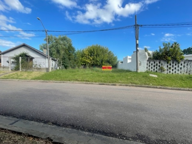 Imagen 1 de la galería