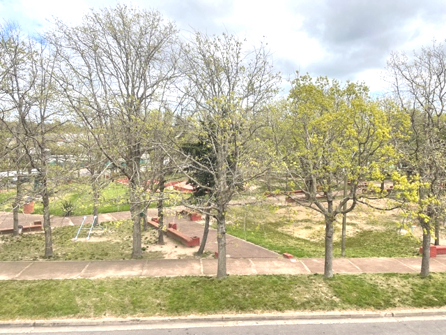 Imagen 10 de la galería