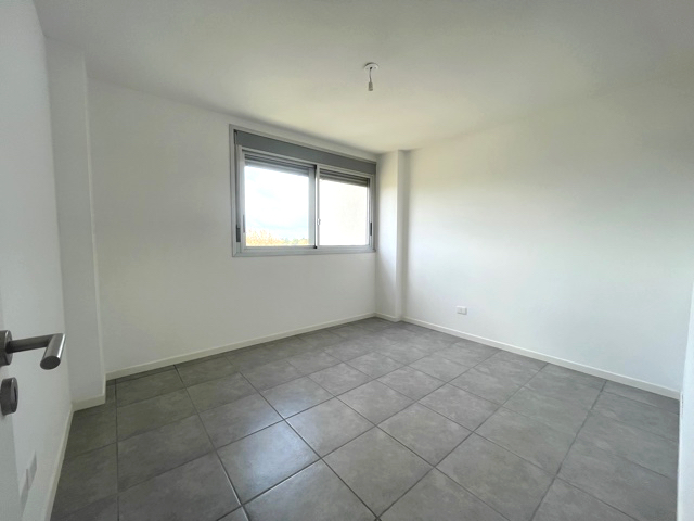 Imagen 6 de la galería