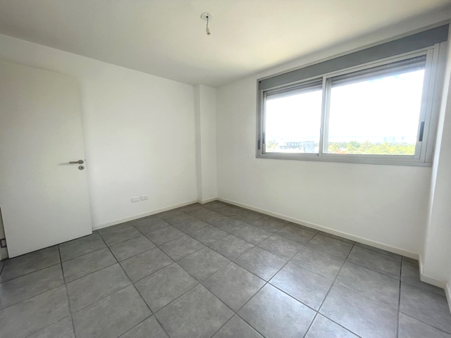 Imagen 7 de la galería