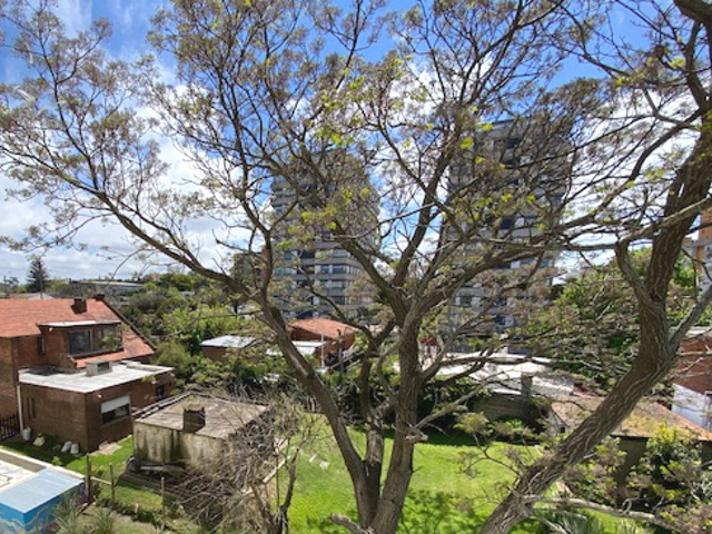 Imagen 8 de la galería