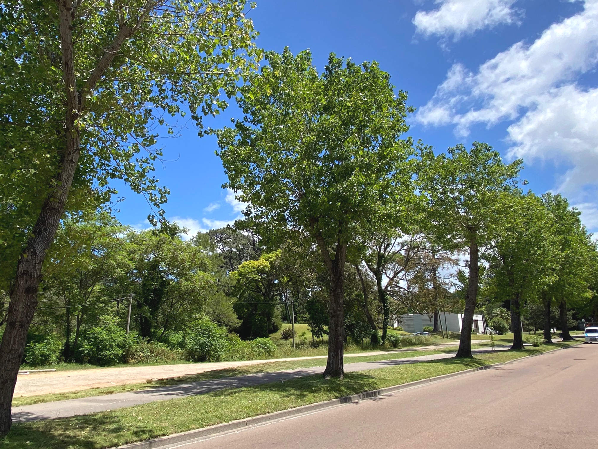 Imagen 2 de la galería