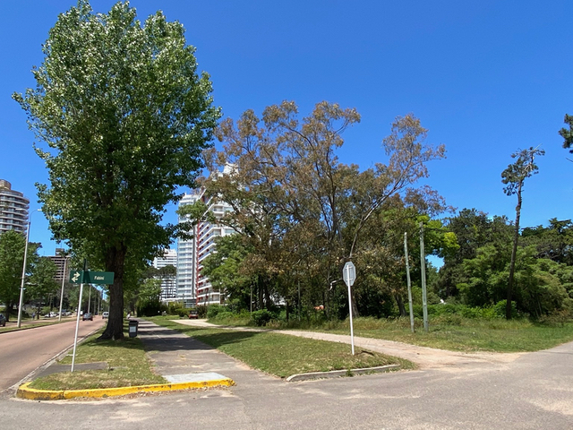 Imagen 1 de la galería