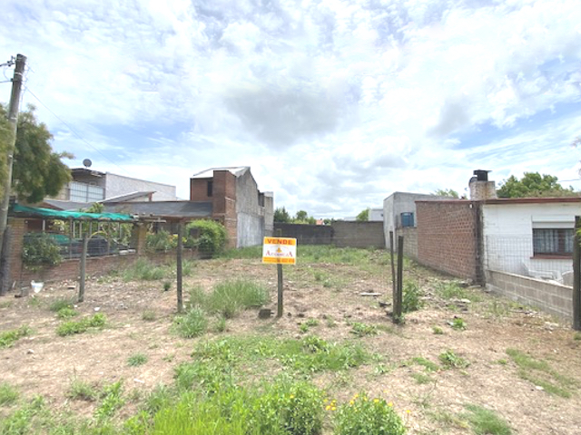 Imagen 1 de la galería