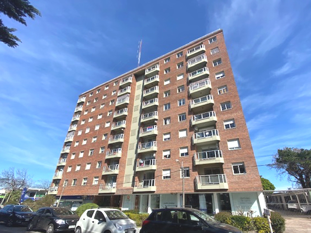 Imagen 1 de la galería