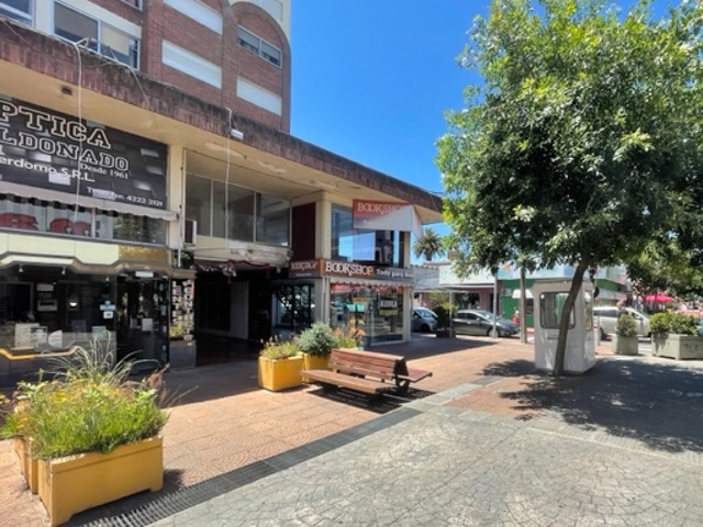 Imagen 1 de la galería