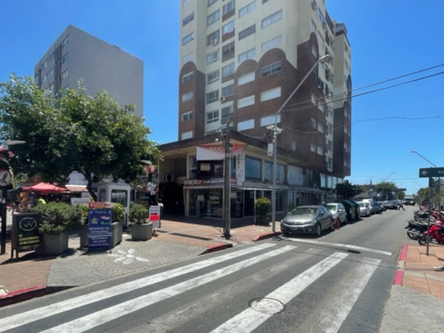 Imagen 2 de la galería