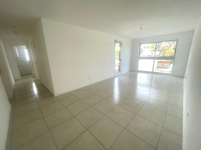 Imagen 2 de la galería