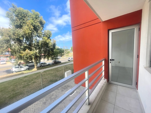 Imagen 6 de la galería