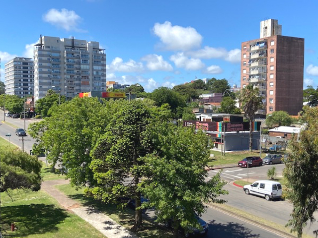 Imagen 6 de la galería