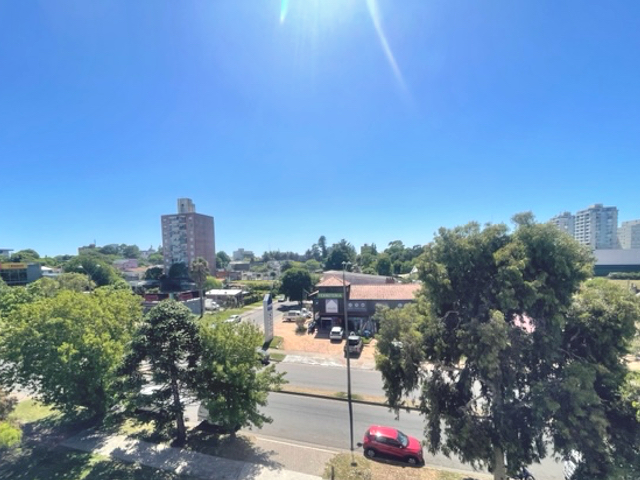 Imagen 7 de la galería