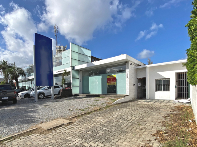 Imagen 1 de la galería