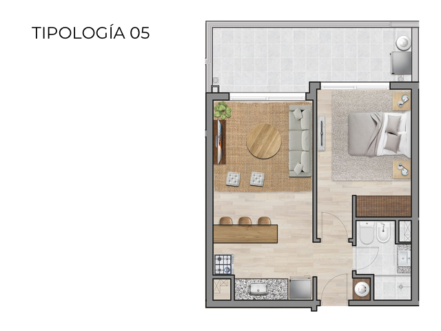 Imagen 9 de la galería