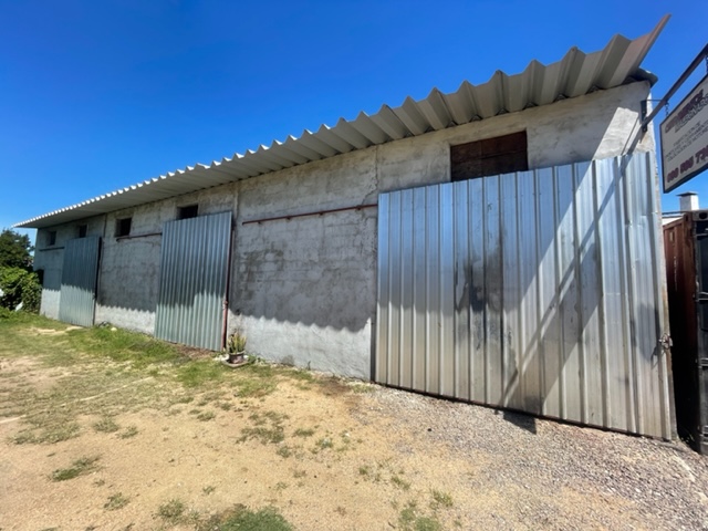 Imagen 2 de la galería