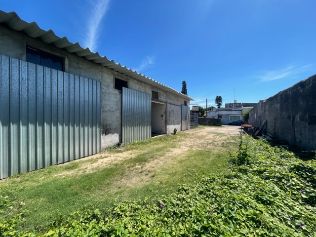 Imagen 1 de la galería