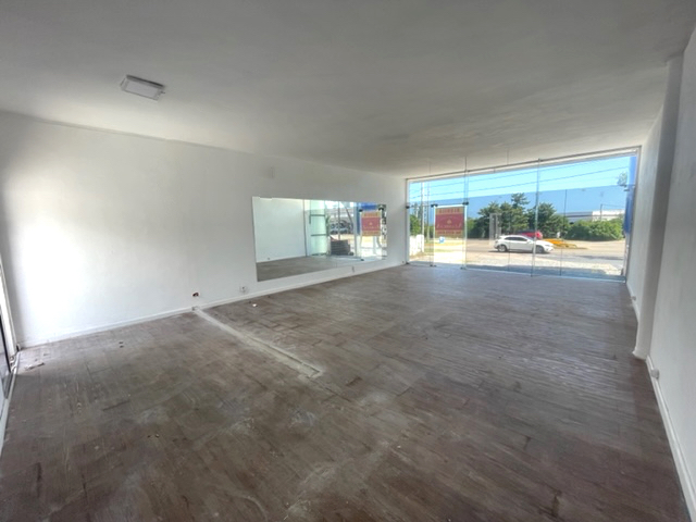 Imagen 3 de la galería