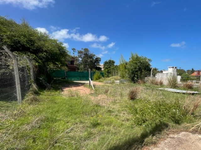 Imagen 6 de la galería