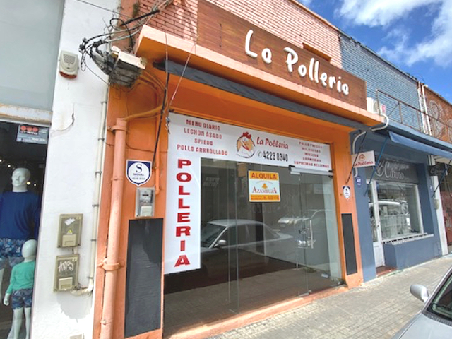 Imagen 1 de la galería