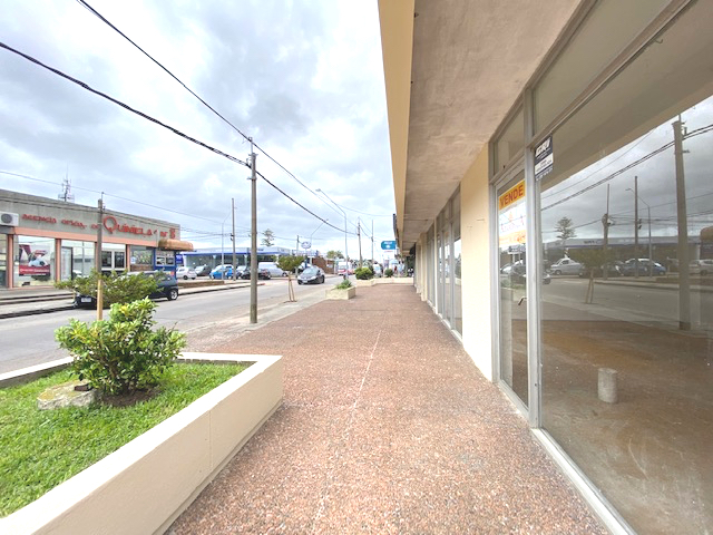 Imagen 3 de la galería